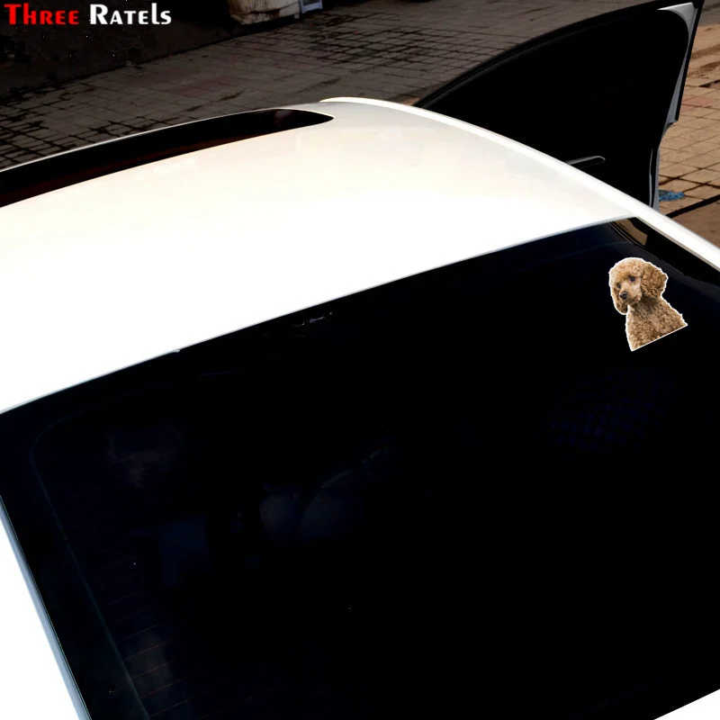 Три Ratels TRL536 #12x16 см Тедди собака с симпатичными машинками забавные наклейки