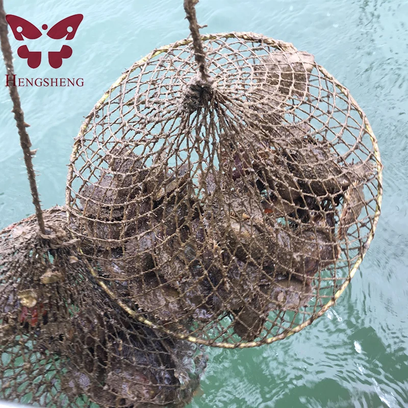 100 шт. вакуумная упаковка 6 8 мм Натуральная морская жемчужина Oyster высокое