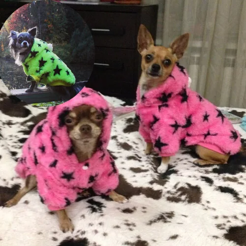 Все звезды йоркшир чихуахуа собака одежда пальто домашнее животное одежда|dog