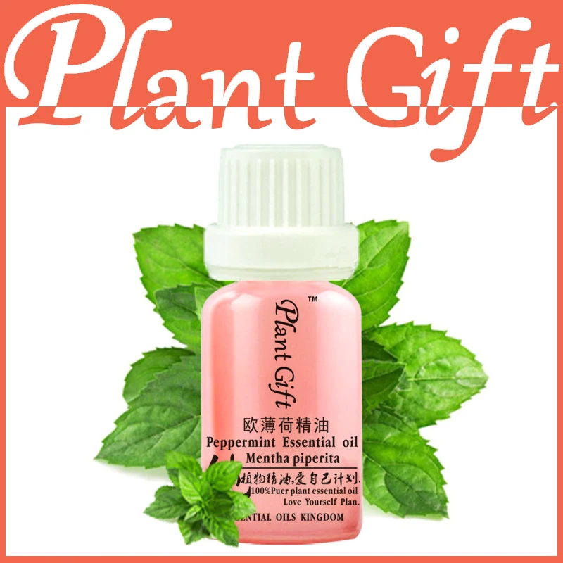 Известный Бренд Чистый Натуральный Ароматерапия Масло Мяты Перечной Облегчить