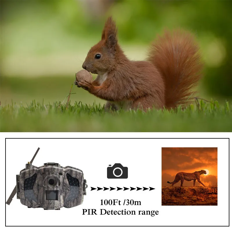 Bolyguard охотничья камера 30MP 3G MMS SMS 940nm ИК Ночное Видение 100ft Скаут Дикая фото ловушка