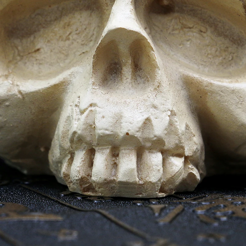 Голова черепа 7 отверстий жесткая смола тату чернила чашки/колпачки-держатели