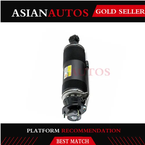 

Rear Left Hydraulic Shock Absorber For Mercedes SL R230 ABC SL350 SL500 SL600 SL55 AMG SL65 AMG 2303200213 2303204138