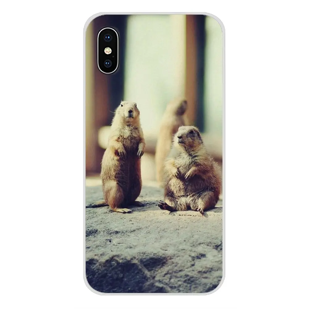 Аксессуары чехлы для телефонов Samsung Galaxy A3 A5 A7 A9 A8 Star A6 Plus 2018 2015 2016 2017 Animal Groundhog |