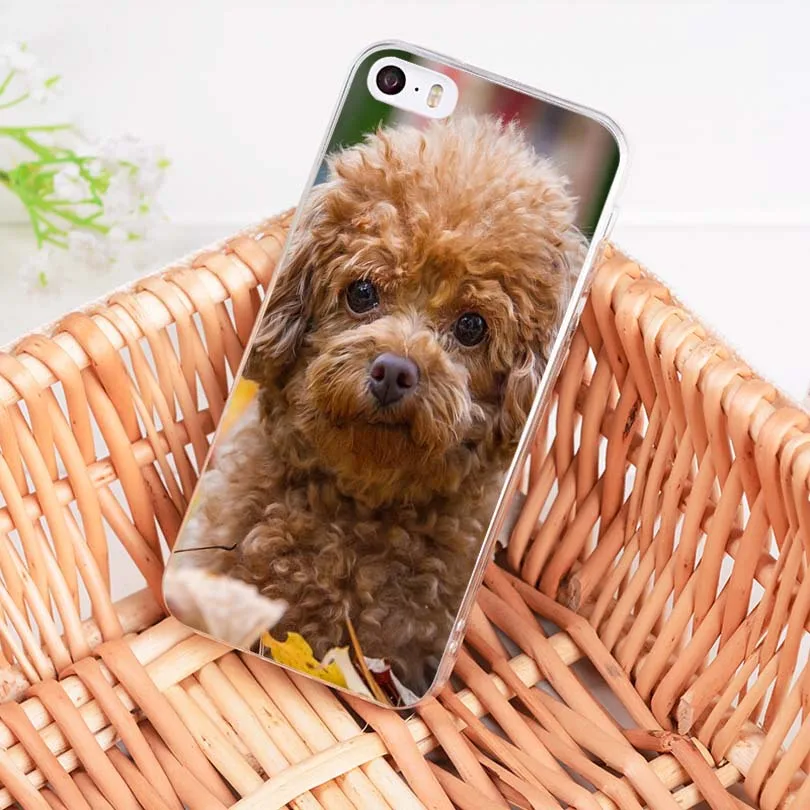 Мягкий чехол для телефона из ТПУ MaiYaCa с изображением щенка собаки игры сна iPhone 8 7 6