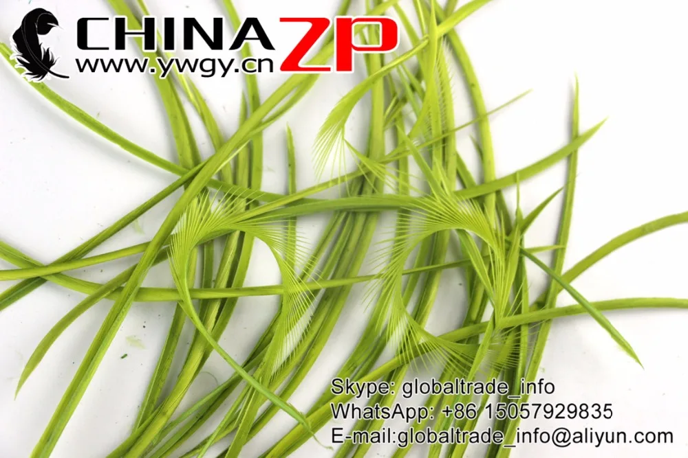 Гусиное перо CHINAZP 20-25 см (8-10 дюймов) гладкая розничная упаковка зеленые гусиные