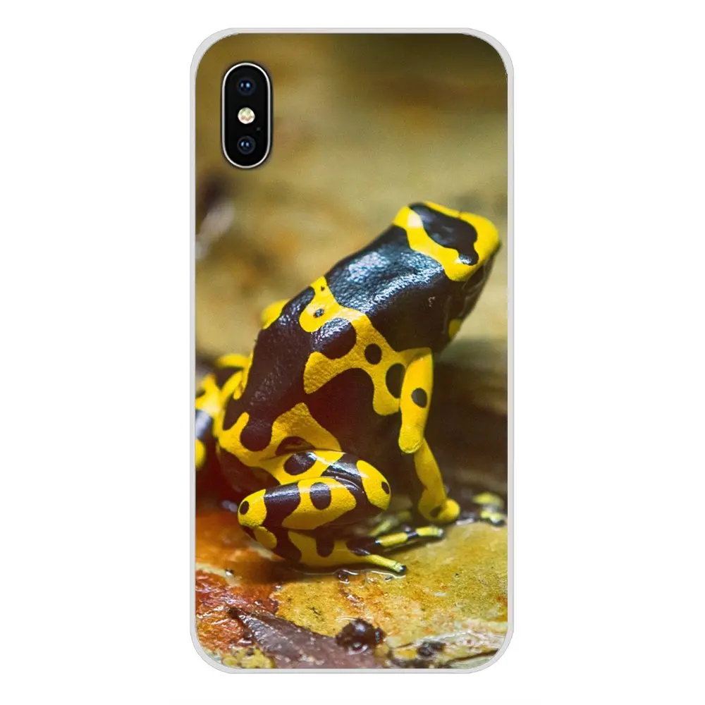 Мягкий прозрачный чехол для Samsung A10 A30 A40 A50 A60 A70 Galaxy S2 Note 2 3 Grand Core Prime Amphibian животные