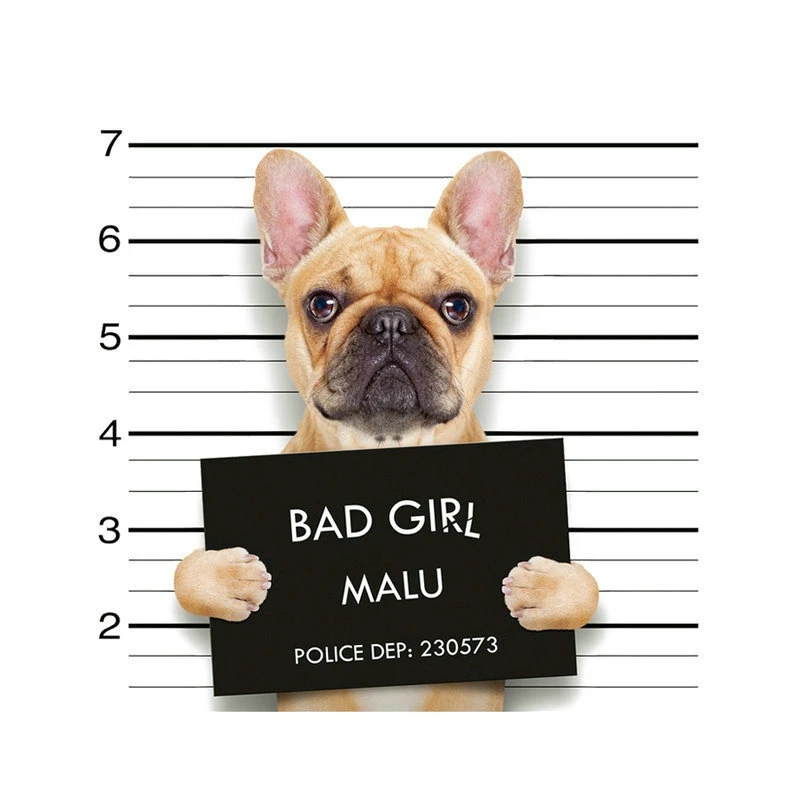 8.7x8.3&quot Bad Girl Dog Patch Iron On Cloth T-shirt Dresses Patches A-level Washable Heat Transfer Stickers DIY Printing Decor | Дом и сад