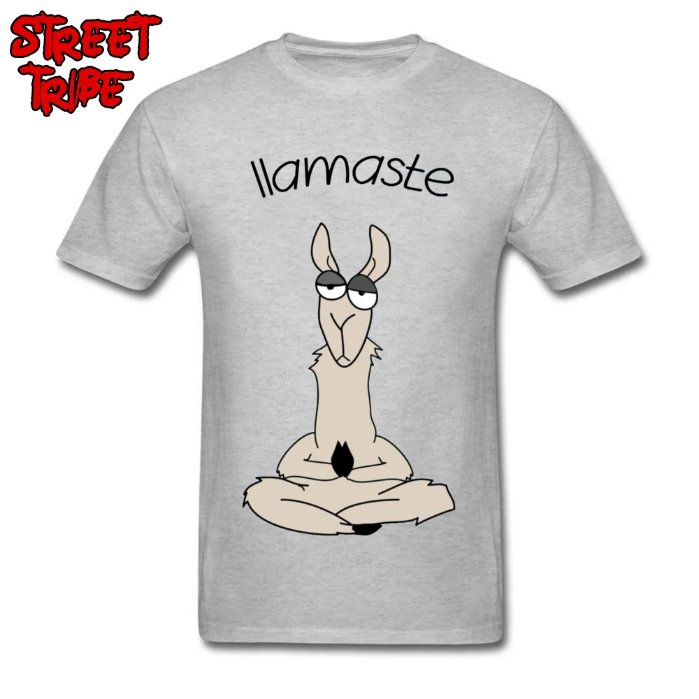 Llamaste Llama футболка Веселая Мужская футболка женская футболка с рисунком Намасте на заказ из хлопка высокого качества белые топы интересные футболки - Цвет: Gray