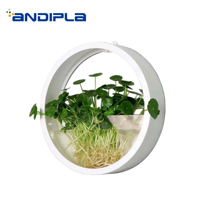 

Brief Handmade Acrylic Wall Vase Living Room Modern Decoration Ornament Crafts Hydroponics Chlorophytum Flower Vases Plant Pots