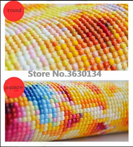 Einstein Сделай Сам Алмазная картина вышивка крестиком старый человек на улице