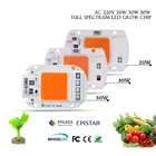 Чип полного спектра, 380-840 нм, 220 В переменного тока, 5 шт.