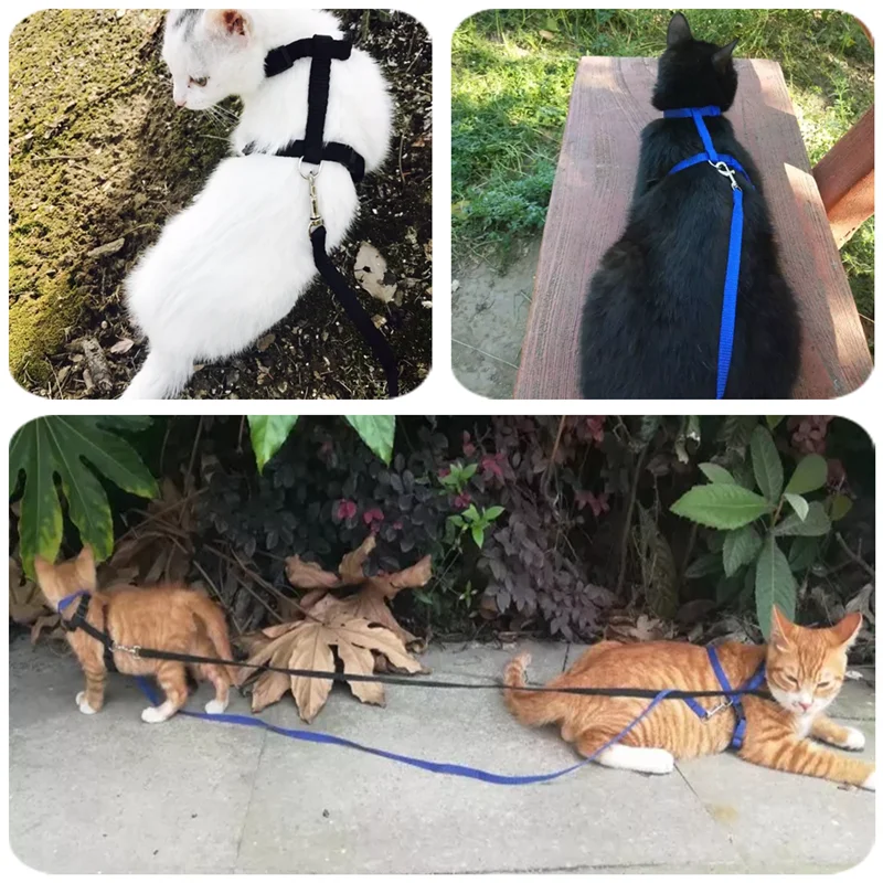 Нейлоновый Поводок для домашних животных 120 см|Ошейники и поводки кошек| |