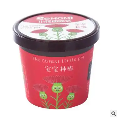 Carnation Милые DIY бонсай растения в горшках семена для садовых растений горшок для суккулентов горшки декоративные вечерние сувениры Свадебная вечеринка поставки - Цвет: Carnation