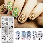 1 шт. пищевой шаблон для стемпинга ногтей пластина фрукты Imagel стемпинг для ногтей Маникюрный шаблон трафареты для ногтей штамп инструменты