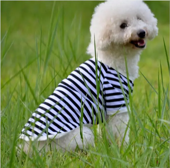 D98 новая полосатая футболка для собак летняя одежда Милая Одежда маленьких | Дом и