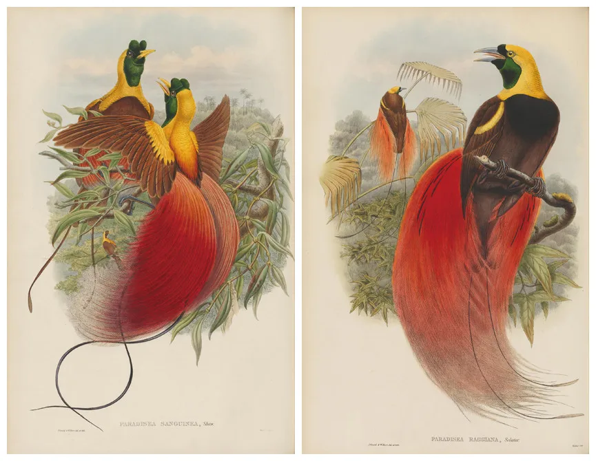 Набор красных птиц в ретро стиле картина маслом холст принты напечатанные на