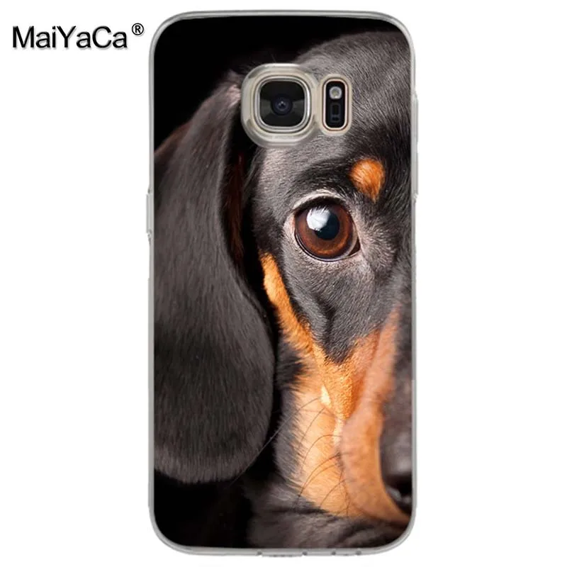 Чехол для телефона MaiYaCa black Dachshund Doberman с рисунком лица собаки samsung galaxy s9 plus s7 s6 edge s5 s8