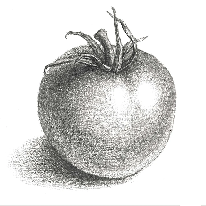 Новейший рисунок на нулевой основе Обучающая книга для набросков штукатурка