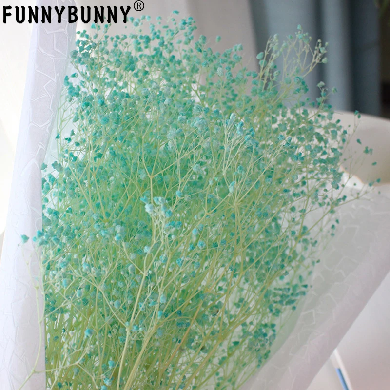 FUNNYBUNNY высушенные детские цветы, высушенные Гипсофилы, сушеные пшеничные стебли(естественное дыхание младенцев