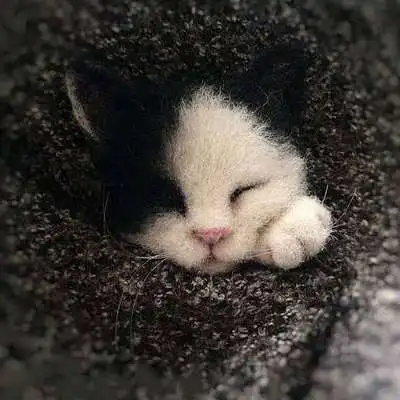 Cat E Шерсть Войлок тыкается ручной работы DIY Материал посылка Войлок животное Кот лисы енот животные Броши наборы лиса - Цвет: Cat E