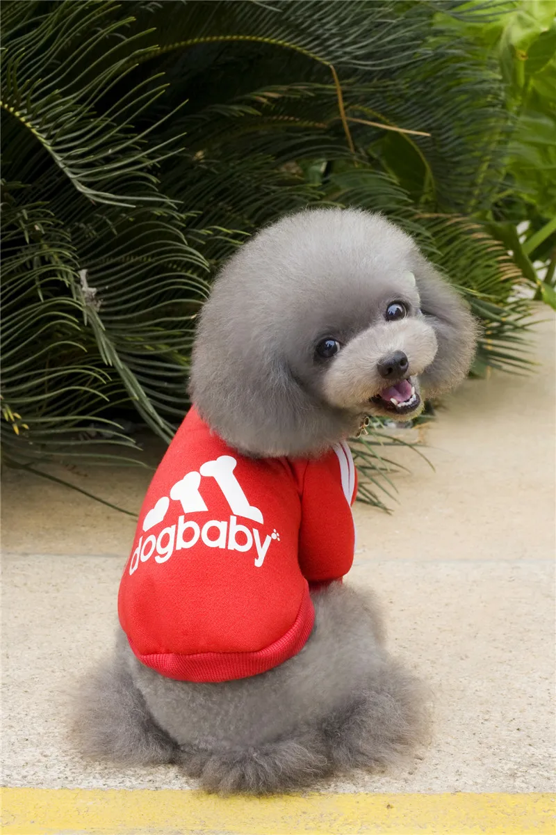 Свитшоты для собак A101 одежда dogbaby 2016 зимняя товары домашних животных | Дом и сад