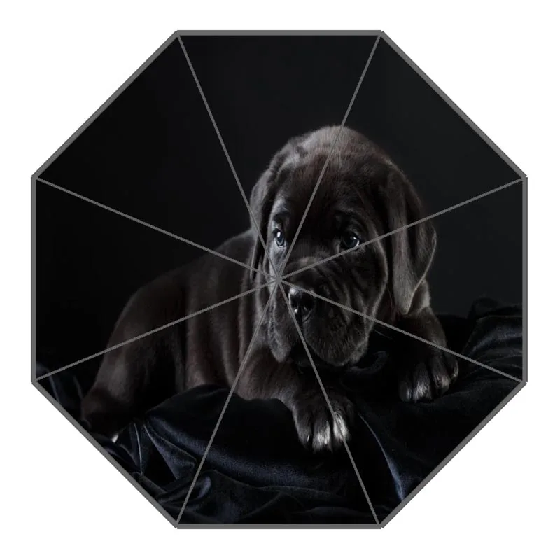 9 Custom Cane Corso Dog Umbrellas Polyester Fabric High Quality Sunny And Rainy Umbrella Non-Automatic Umbrella For Adults - Цвет: 9