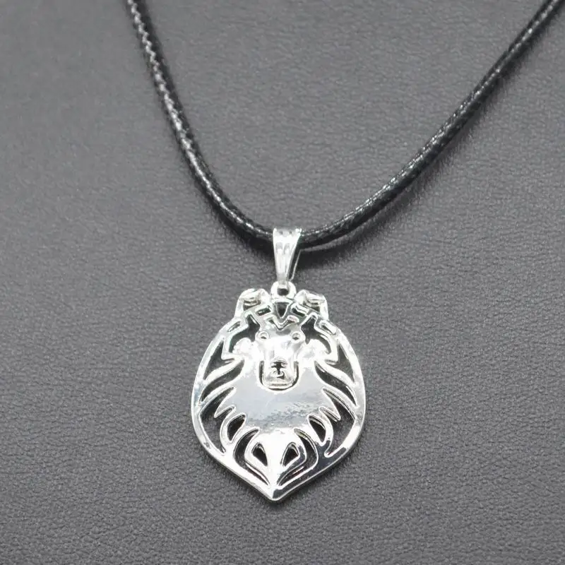 Women's Rope Chain Metal Rough Collie Necklaces Lovers' Alloy Pendant Drop Shipping | Украшения и аксессуары