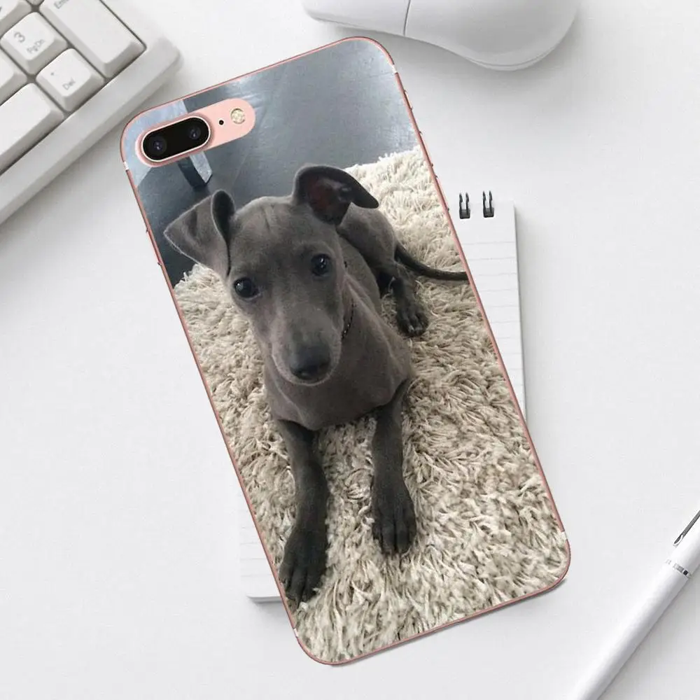 Для iPhone 4 4S 5 5C SE 6 6S 7 8 Plus X XS Max XR Galaxy A3 A5 J1 J3 J5 J7 2017 тонкая ТПУ клетка I Love My Whippet Dog