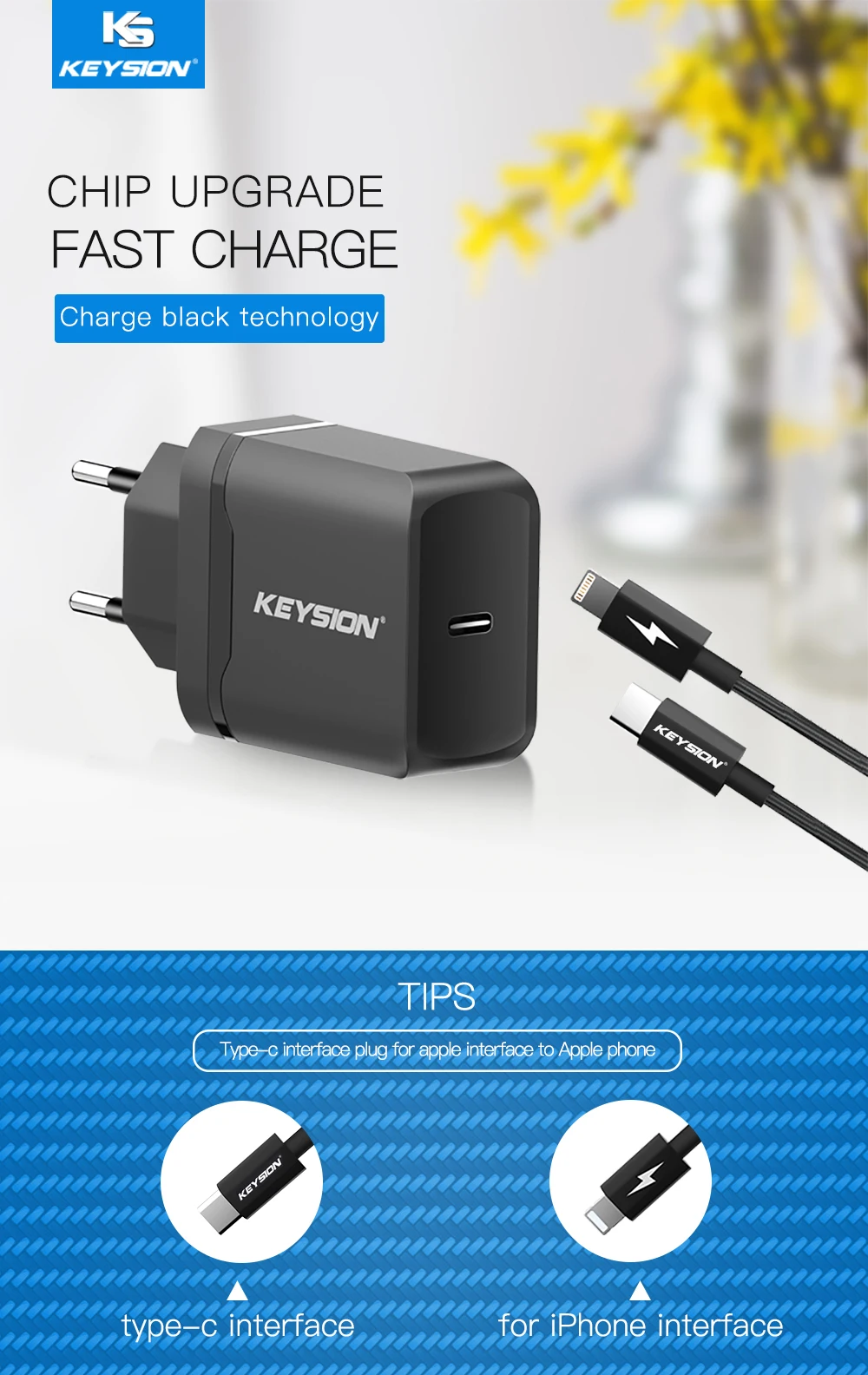 KEYSION 18 Вт USB-C PD быстрое зарядное устройство для iPhone XS Max X XS XR 8 8 Plus type-C дорожное настенное быстрое зарядное устройство QC 3,0 PD Быстрая зарядка