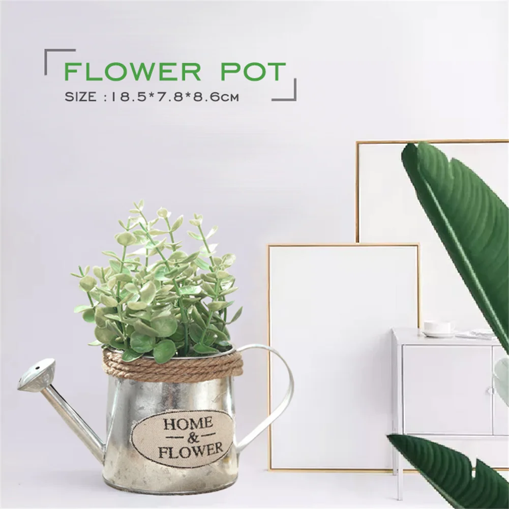 Винтажные сочные горшки для посадки растений ручной полив цветочный горшок