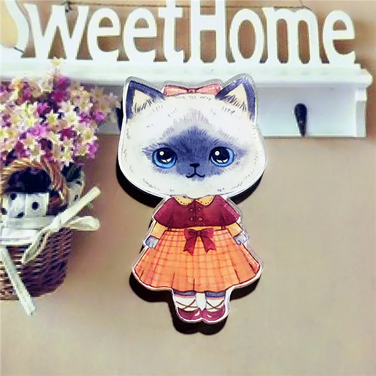 1 шт Meow Star People акриловая брошь значки Pin рюкзак для женщин и мужчин Одежда булавка