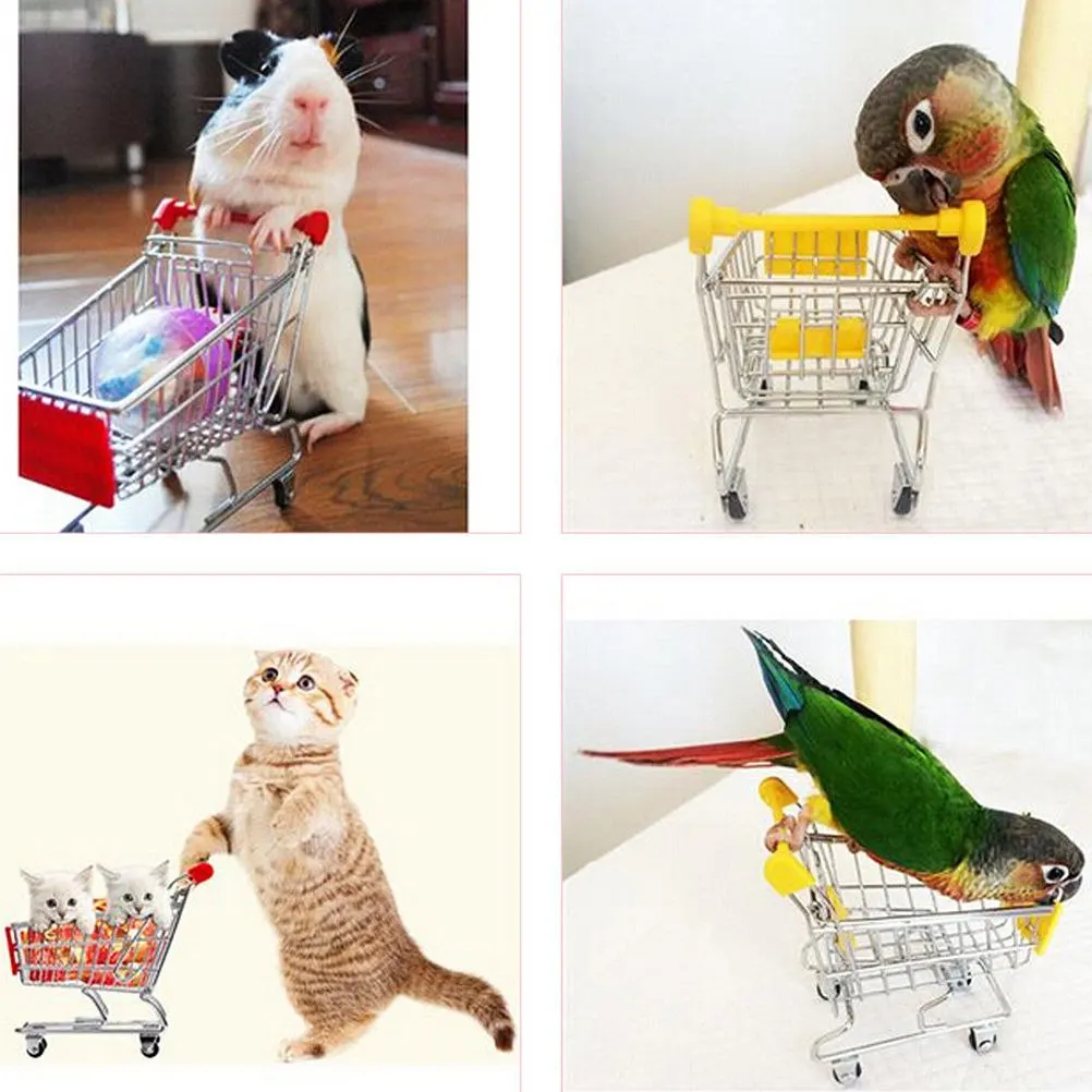 

New Funny 12cmX11.5cmX7.5cm Mini Bird Parrot Mouse Cat Toy Supermarket Shopping Cart Intelligence Growth Parrot Toys