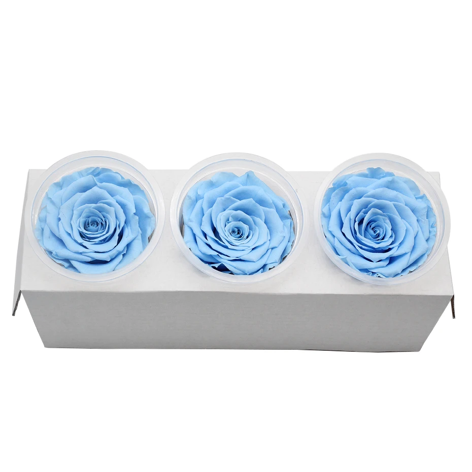 1 коробка Eternal Flores консерванты натуральные сухоцветы консервированные цветы бесморская Роза 8 см подарок на день Святого Валентина день рождения