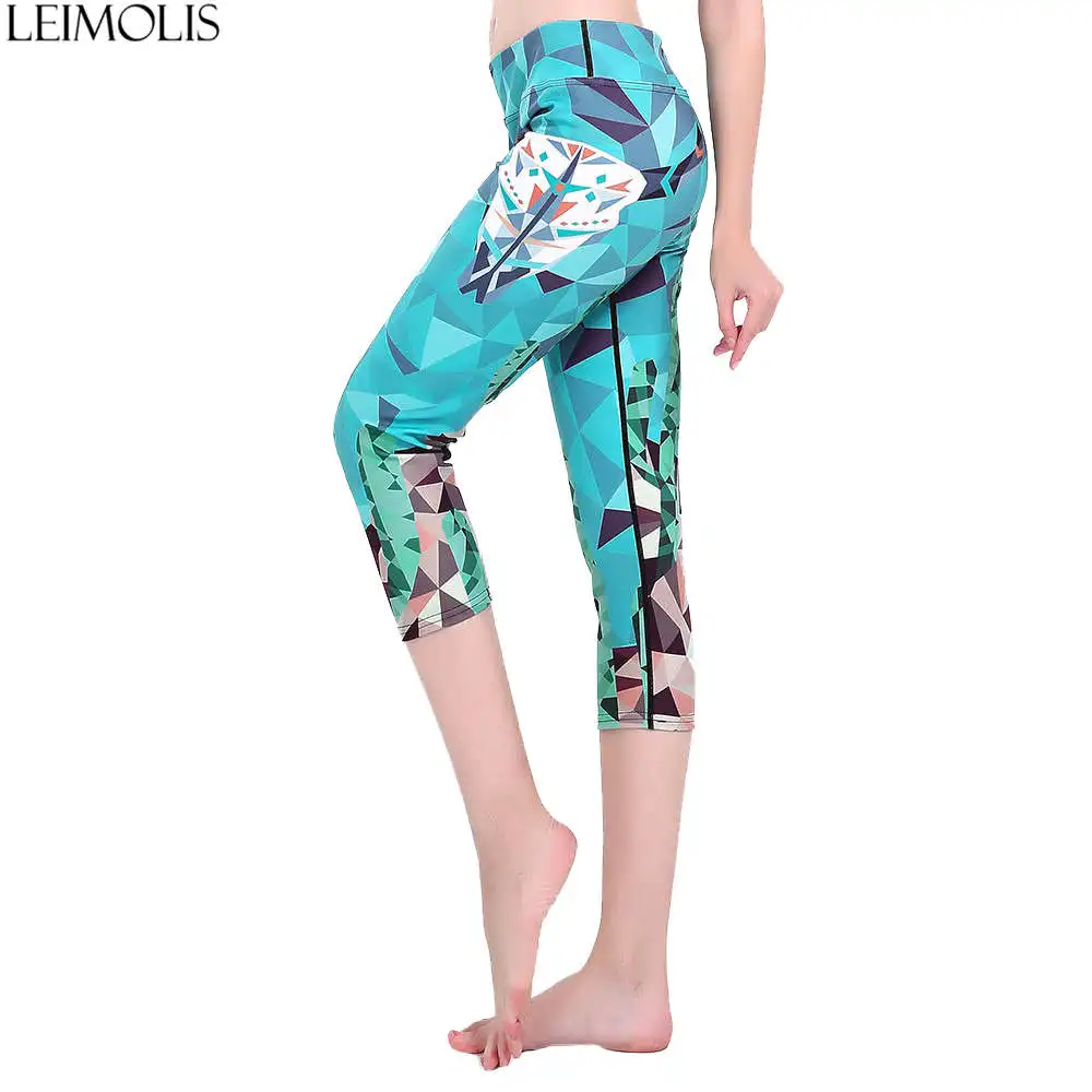 LEIMOLIS птица огонь карта пейзаж кошка мультфильм печать Харадзюку Высокая талия