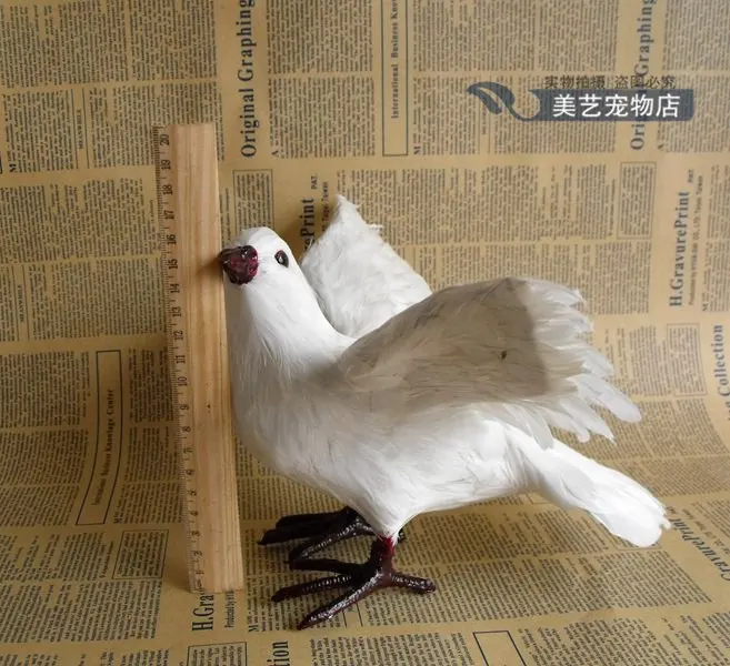 True feather white dove peace shooting props wedding ornaments gifts teaching specimens | Дом и сад