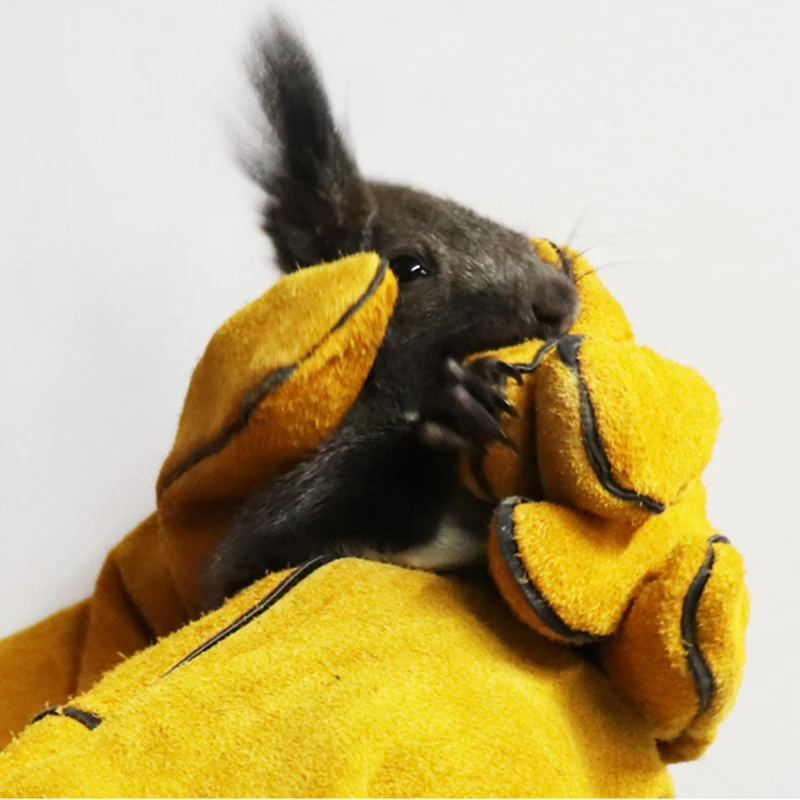 Перчатки из свиной шкуры против укуса белки кожаные тонкие перчатки желтого и