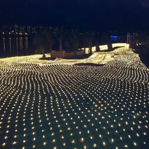 Гирлянсветильник светодиодная, 220 В, 2 м х 3 м