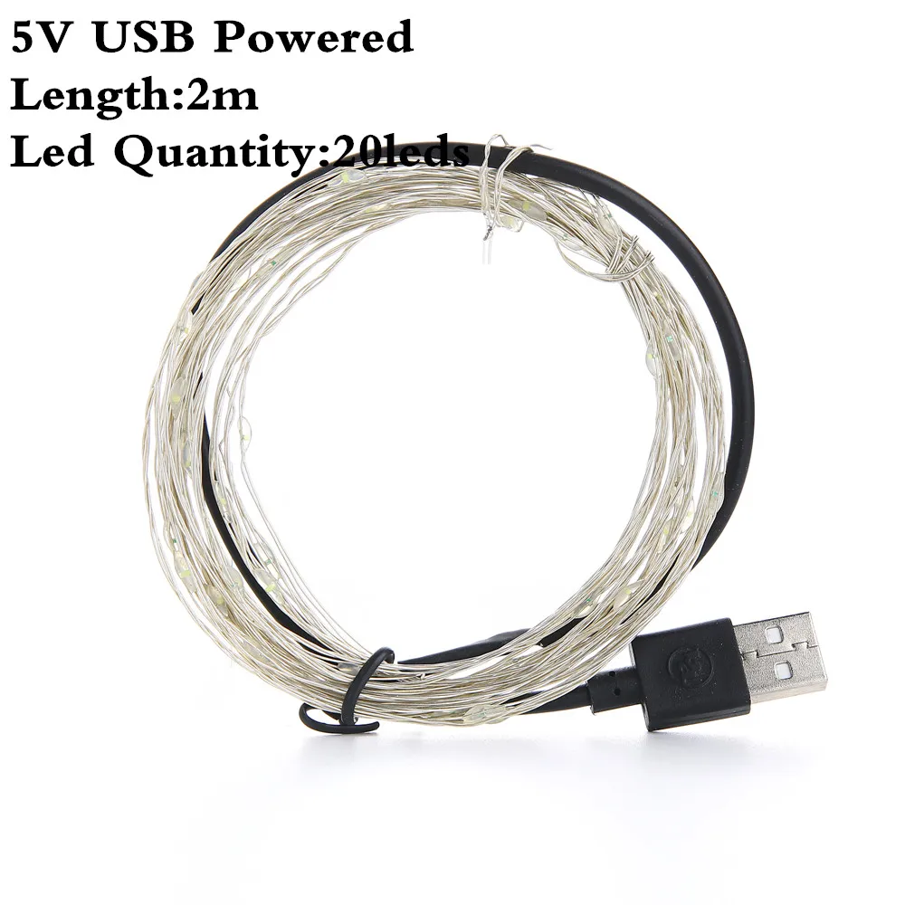 2 м, 5 м, 10 м, Светодиодная лента, светильник USB, 5 В, 3AA, батарея, медный провод, уличный струнный светильник, сказочный, для рождества, свадьбы, вечеринки, нового года - Испускаемый цвет: 2m usb Powered