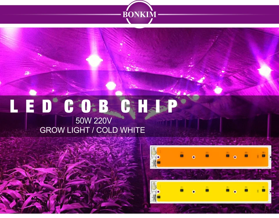LED COB Plant Grow Light Chip Full Spectrum AC220V 50W Smart IC Cold White LED Lamp Beads Chip For DIY Led Floodlight Spotlight