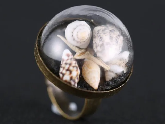 DIY бронзовое регулируемое кольцо с 25 мм прозрачным стеклянным куполом Террариум