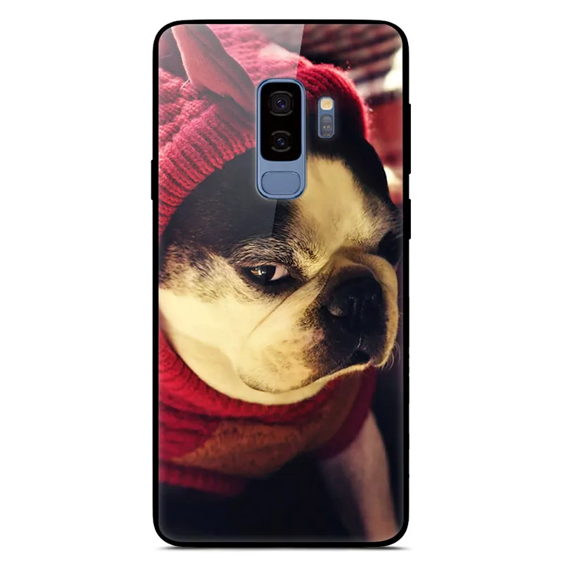 11 Чехол для samsung S9 блестящий чехол Стекло жесткая задняя крышка корпуса для samsung Galaxy S9 плюс чехол мягкий TPU бампер S9+ S9Plus Hoesjes - Цвет: 11