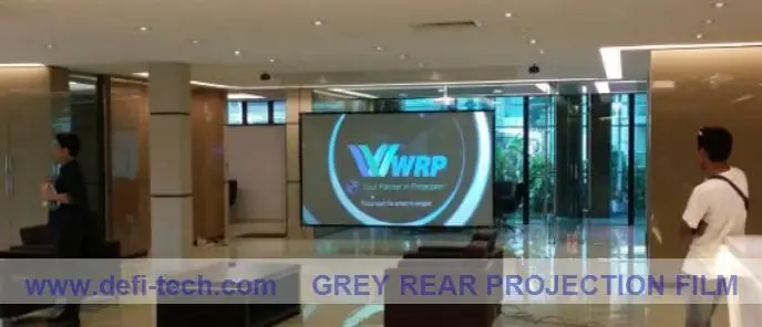 Высококачественная и самая низкая цена DEFI прозрачная пленка для заднего