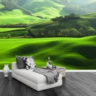3D фотообои на заказ, большой фон для спальни, гостиной, с рисунком боярышника