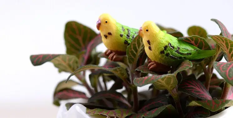 Миниатюрные попугаи 5 шт./лот 3 см мини гномы мох террариумы полимерные ремесла
