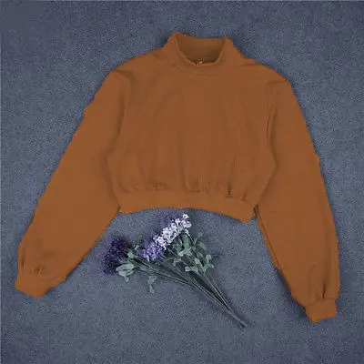 Женский свитер повседневный короткий топ с капюшоном|top hoodie|women sweatshirthoodie hoody |