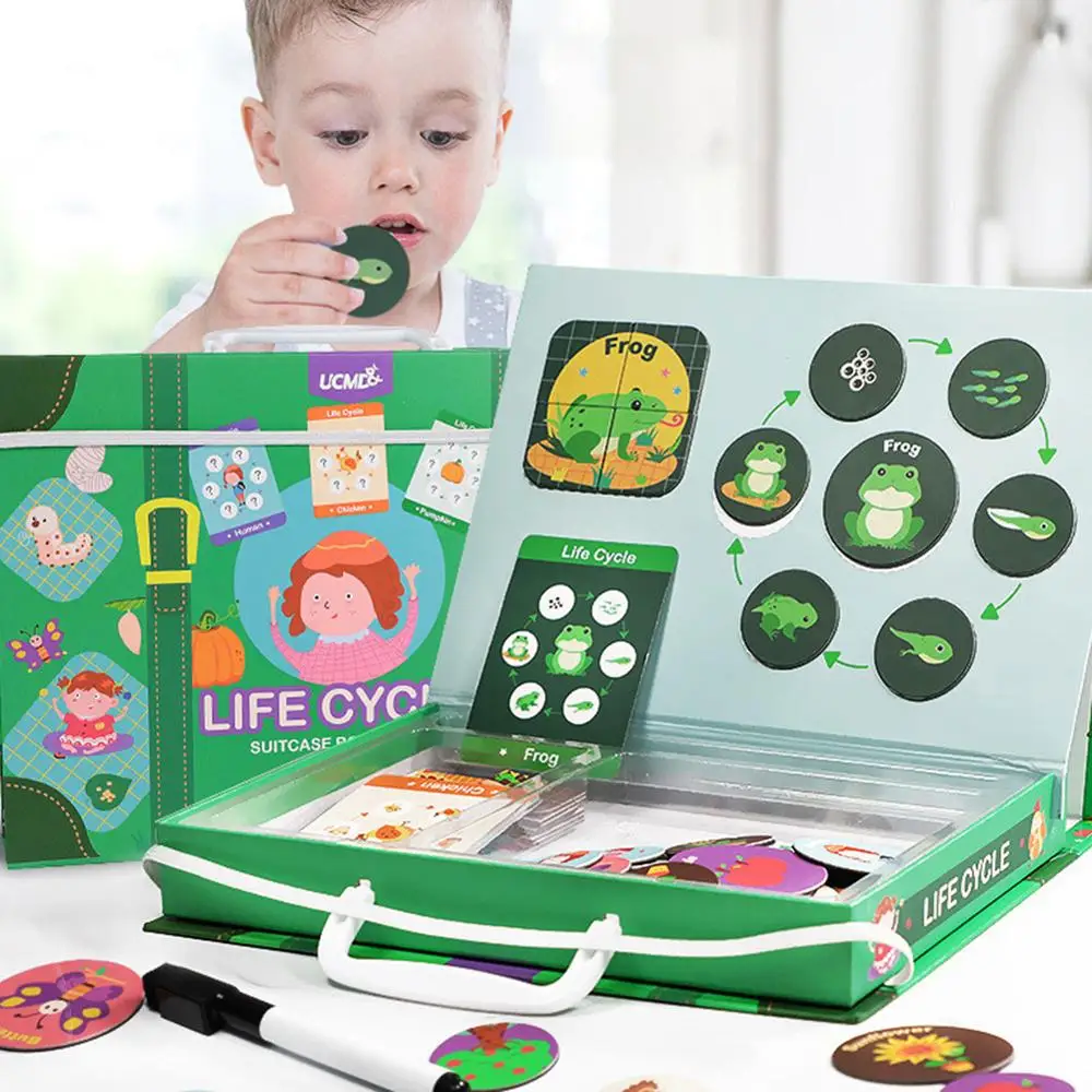 

Magnetic Lifecycle Frog Animal Puzzles Pen Painting Board Kids Teaching Aids Toy