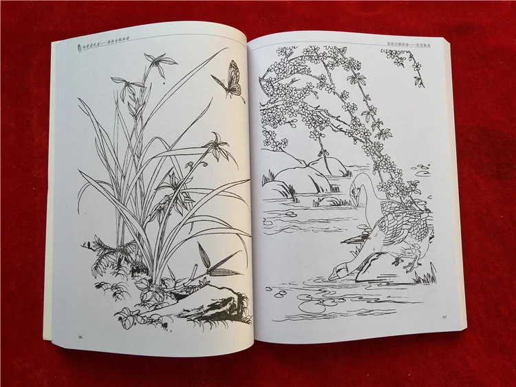 Новая китайская живопись линия Рисование книга цветной карандаш цветок птицы и насекомое раскраска книга гравировка шаблон для начинающих
