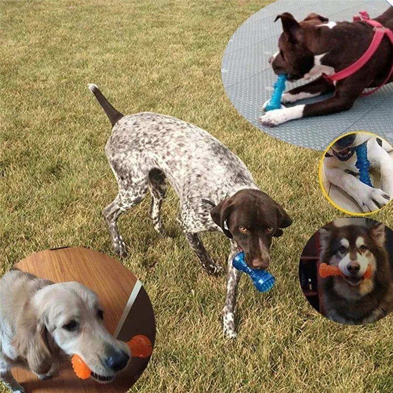 Для животных из ТЭП игрушка сильный укуса собаке кость резиновая для домашних