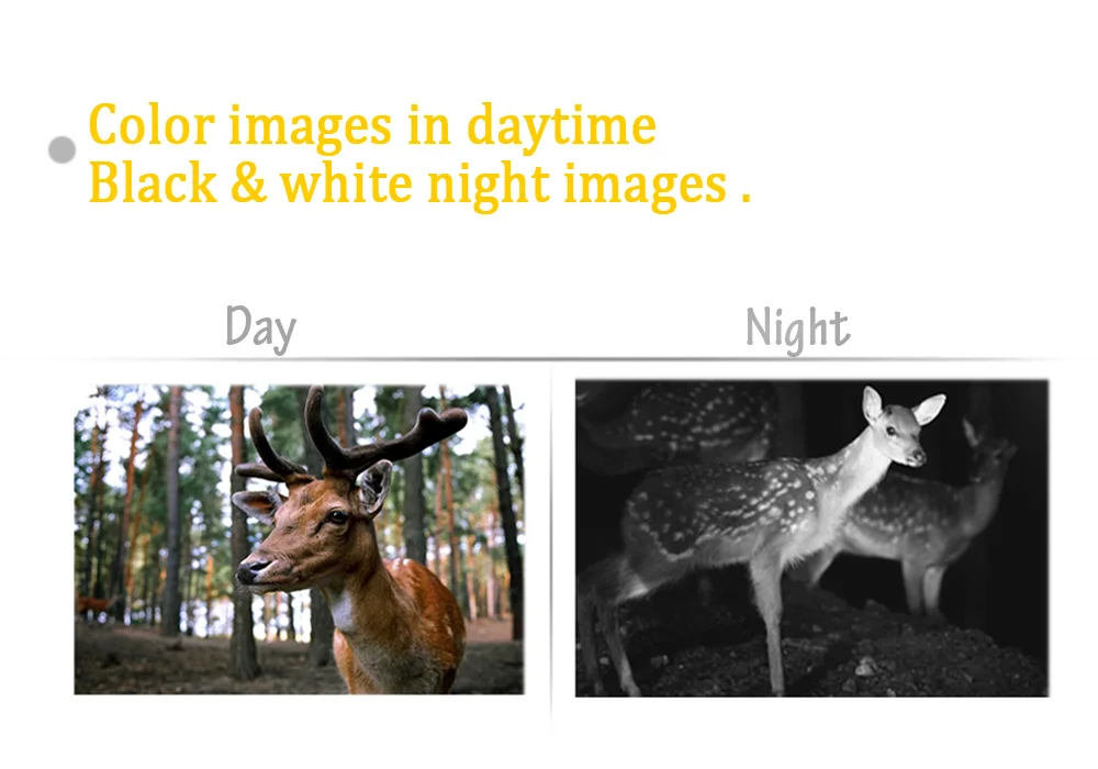 Suntek Hunting Camera MMS GPRS 16MP 1080P Photo Traps Video Night Vision Infrared Trail HC350M HC550M HC300M | Спорт и развлечения